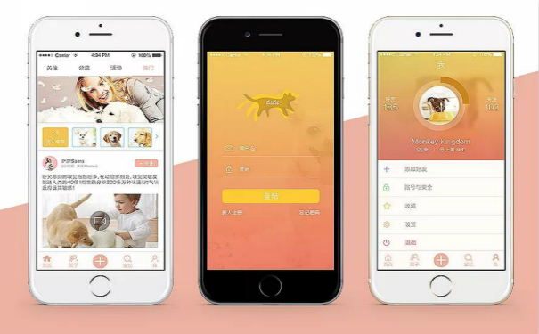 宠物饲养APP开发,湖北APP开发