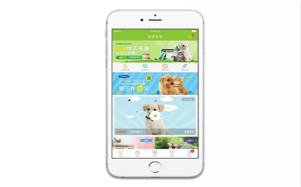 关于宠物类APP开发,湖北APP开发
