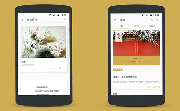 古诗词APP软件开发,湖北App开发