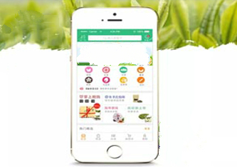 软件开发案例分享
